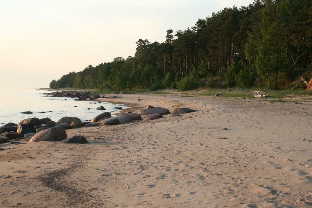 Villa Jaunzemji Dzeņi Exterior foto